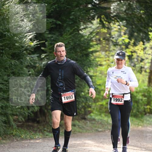 13.04.2025 - Hammer Lauf Dr. Thomas Lammeyer http://msf.ph/oto/7658145 13.04.2025 10:45:26 Laufen 1993, 1992 meine-sportfotos.de