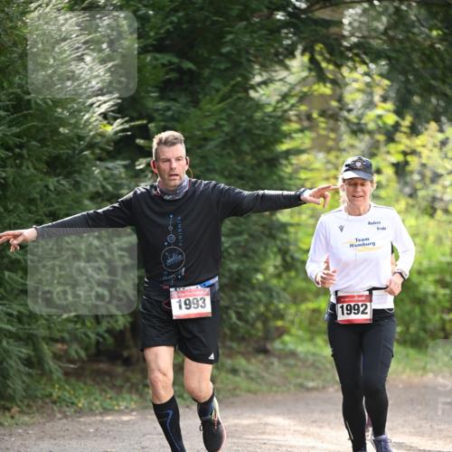 13.04.2025 - Hammer Lauf Dr. Thomas Lammeyer http://msf.ph/oto/7658147 13.04.2025 10:45:27 Laufen 83, 1993, 1992 meine-sportfotos.de