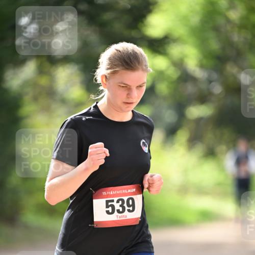 13.04.2025 - Hammer Lauf Dr. Thomas Lammeyer http://msf.ph/oto/7658179 13.04.2025 10:45:32 Laufen 15, 539 meine-sportfotos.de