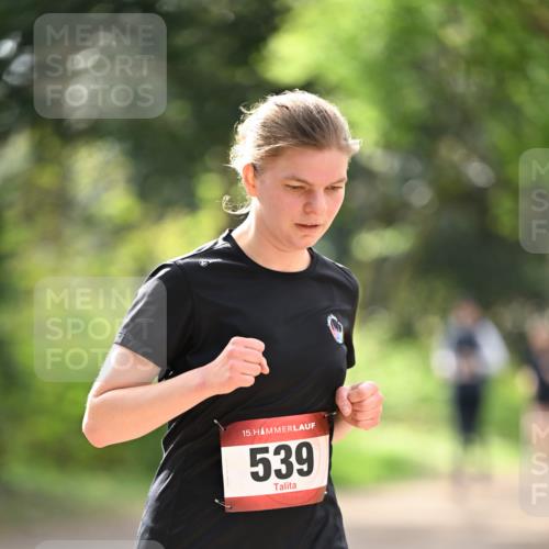 13.04.2025 - Hammer Lauf Dr. Thomas Lammeyer http://msf.ph/oto/7658181 13.04.2025 10:45:32 Laufen 15, 539 meine-sportfotos.de