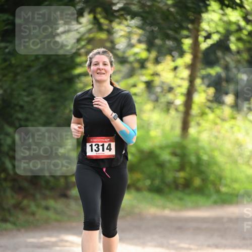 13.04.2025 - Hammer Lauf Dr. Thomas Lammeyer http://msf.ph/oto/7658233 13.04.2025 10:45:54 Laufen 15, 1314 meine-sportfotos.de