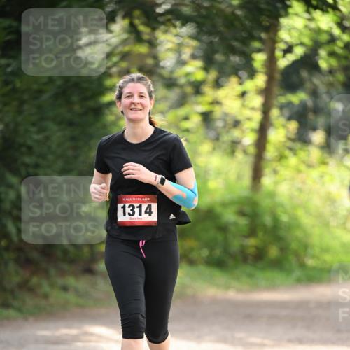 13.04.2025 - Hammer Lauf Dr. Thomas Lammeyer http://msf.ph/oto/7658234 13.04.2025 10:45:54 Laufen 15, 1314 meine-sportfotos.de