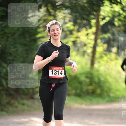 13.04.2025 - Hammer Lauf Dr. Thomas Lammeyer http://msf.ph/oto/7658237 13.04.2025 10:45:54 Laufen 15, 1314, 7 meine-sportfotos.de