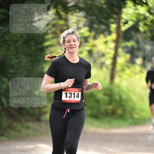 13.04.2025 - Hammer Lauf Dr. Thomas Lammeyer http://msf.ph/oto/7658238 13.04.2025 10:45:54 Laufen 15, 1314 meine-sportfotos.de