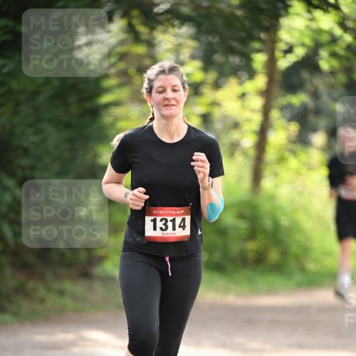 13.04.2025 - Hammer Lauf Dr. Thomas Lammeyer http://msf.ph/oto/7658239 13.04.2025 10:45:54 Laufen 15, 1314, 1 meine-sportfotos.de
