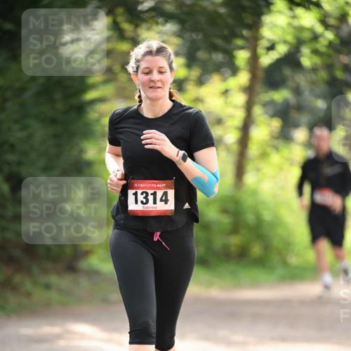 13.04.2025 - Hammer Lauf Dr. Thomas Lammeyer http://msf.ph/oto/7658240 13.04.2025 10:45:54 Laufen 15, 1314 meine-sportfotos.de