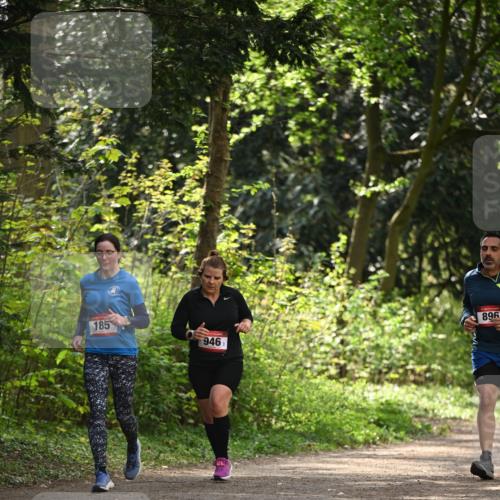 13.04.2025 - Hammer Lauf Dr. Thomas Lammeyer http://msf.ph/oto/7658348 13.04.2025 10:46:30 Laufen 185, 946, 896 meine-sportfotos.de