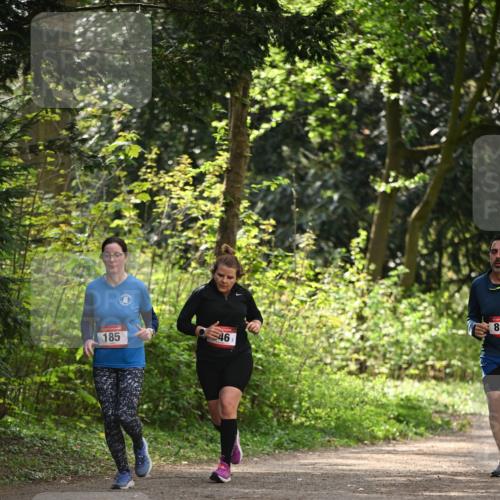 13.04.2025 - Hammer Lauf Dr. Thomas Lammeyer http://msf.ph/oto/7658350 13.04.2025 10:46:30 Laufen 89, 185, 46 meine-sportfotos.de