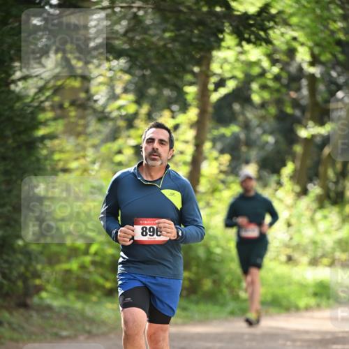 13.04.2025 - Hammer Lauf Dr. Thomas Lammeyer http://msf.ph/oto/7658359 13.04.2025 10:46:35 Laufen 15, 896, 0 meine-sportfotos.de