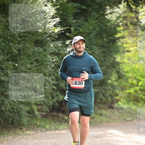 13.04.2025 - Hammer Lauf Dr. Thomas Lammeyer http://msf.ph/oto/7658369 13.04.2025 10:46:41 Laufen 15, 830 meine-sportfotos.de