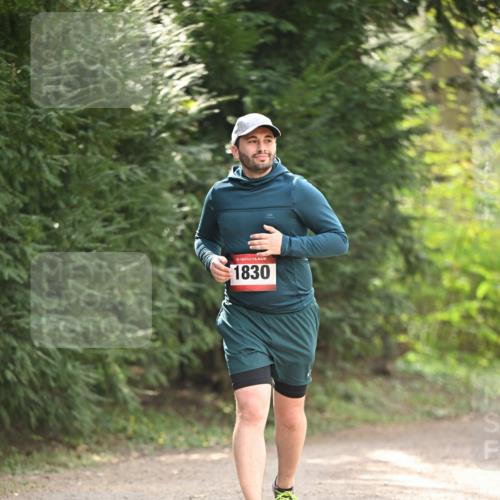 13.04.2025 - Hammer Lauf Dr. Thomas Lammeyer http://msf.ph/oto/7658370 13.04.2025 10:46:41 Laufen 15, 1830 meine-sportfotos.de