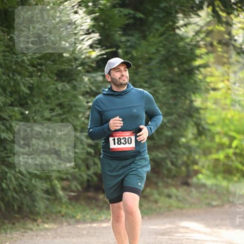 13.04.2025 - Hammer Lauf Dr. Thomas Lammeyer http://msf.ph/oto/7658372 13.04.2025 10:46:41 Laufen 15, 1830 meine-sportfotos.de