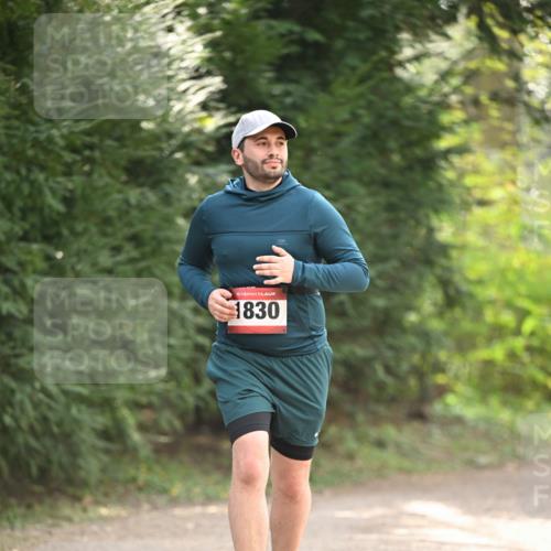 13.04.2025 - Hammer Lauf Dr. Thomas Lammeyer http://msf.ph/oto/7658375 13.04.2025 10:46:42 Laufen 15, 1830 meine-sportfotos.de