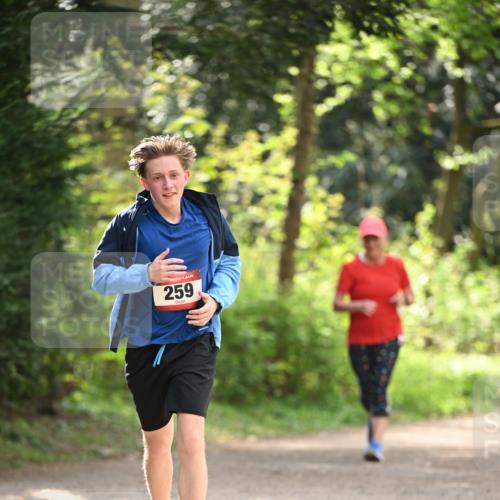 13.04.2025 - Hammer Lauf Dr. Thomas Lammeyer http://msf.ph/oto/7658387 13.04.2025 10:46:55 Laufen 259 meine-sportfotos.de