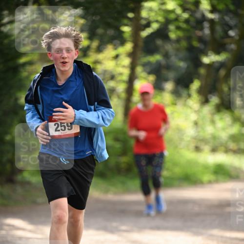13.04.2025 - Hammer Lauf Dr. Thomas Lammeyer http://msf.ph/oto/7658396 13.04.2025 10:46:56 Laufen 259 meine-sportfotos.de