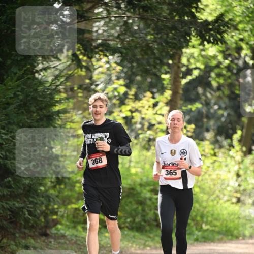 13.04.2025 - Hammer Lauf Dr. Thomas Lammeyer http://msf.ph/oto/7658526 13.04.2025 10:48:06 Laufen 368, 365 meine-sportfotos.de