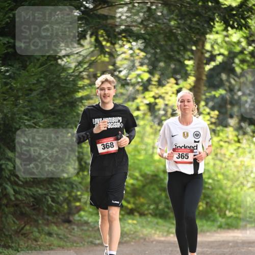13.04.2025 - Hammer Lauf Dr. Thomas Lammeyer http://msf.ph/oto/7658529 13.04.2025 10:48:07 Laufen 15, 368, 15, 365 meine-sportfotos.de