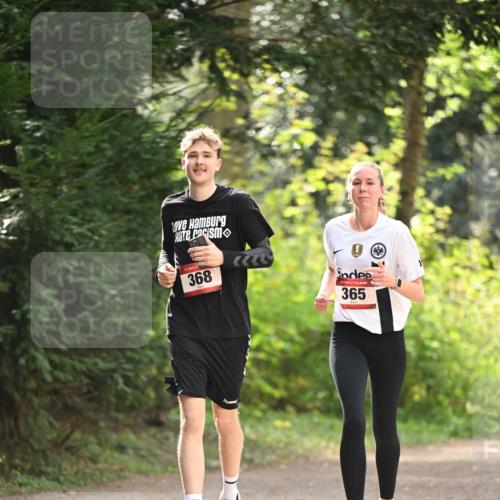 13.04.2025 - Hammer Lauf Dr. Thomas Lammeyer http://msf.ph/oto/7658532 13.04.2025 10:48:07 Laufen 368, 365 meine-sportfotos.de