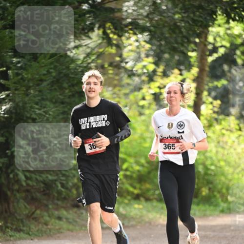 13.04.2025 - Hammer Lauf Dr. Thomas Lammeyer http://msf.ph/oto/7658533 13.04.2025 10:48:07 Laufen 36, 15, 365 meine-sportfotos.de