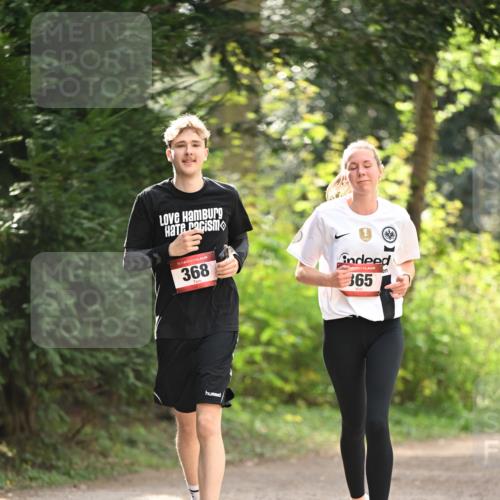 13.04.2025 - Hammer Lauf Dr. Thomas Lammeyer http://msf.ph/oto/7658535 13.04.2025 10:48:08 Laufen 15, 368, 365 meine-sportfotos.de
