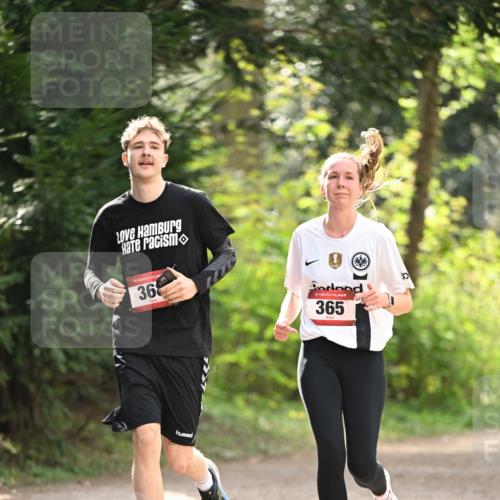 13.04.2025 - Hammer Lauf Dr. Thomas Lammeyer http://msf.ph/oto/7658539 13.04.2025 10:48:08 Laufen 15, 36, 15, 365 meine-sportfotos.de