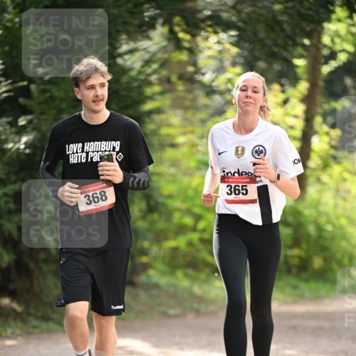 13.04.2025 - Hammer Lauf Dr. Thomas Lammeyer http://msf.ph/oto/7658543 13.04.2025 10:48:09 Laufen 15, 368, 15, 365 meine-sportfotos.de