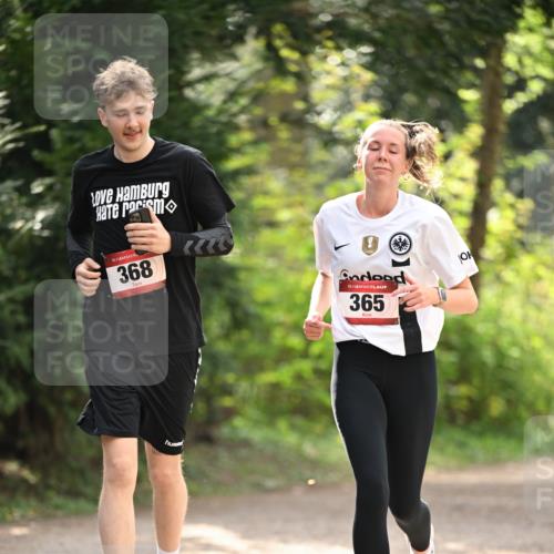 13.04.2025 - Hammer Lauf Dr. Thomas Lammeyer http://msf.ph/oto/7658544 13.04.2025 10:48:09 Laufen 15, 368, 15, 365 meine-sportfotos.de
