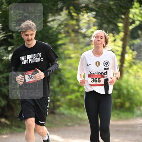 13.04.2025 - Hammer Lauf Dr. Thomas Lammeyer http://msf.ph/oto/7658545 13.04.2025 10:48:09 Laufen 15, 36, 15, 365 meine-sportfotos.de
