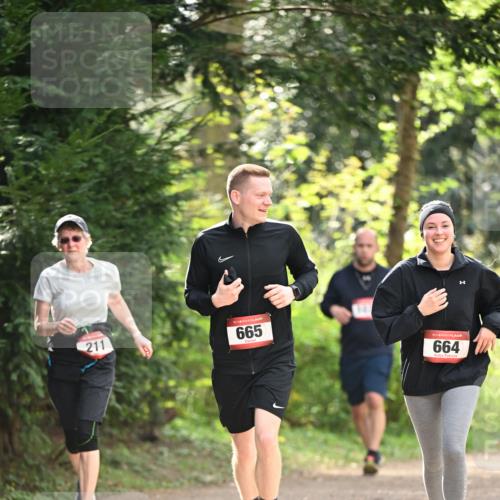 13.04.2025 - Hammer Lauf Dr. Thomas Lammeyer http://msf.ph/oto/7658548 13.04.2025 10:48:15 Laufen 211, 15, 665, 15, 664 meine-sportfotos.de