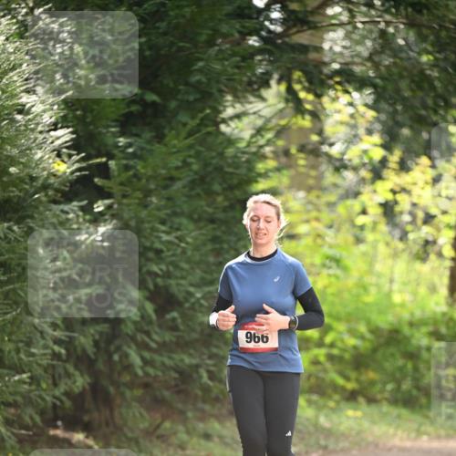 13.04.2025 - Hammer Lauf Dr. Thomas Lammeyer http://msf.ph/oto/7658606 13.04.2025 10:48:31 Laufen 966 meine-sportfotos.de