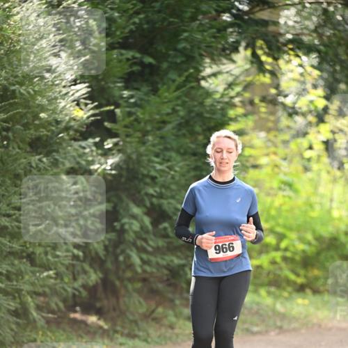 13.04.2025 - Hammer Lauf Dr. Thomas Lammeyer http://msf.ph/oto/7658609 13.04.2025 10:48:31 Laufen 966 meine-sportfotos.de