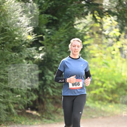 13.04.2025 - Hammer Lauf Dr. Thomas Lammeyer http://msf.ph/oto/7658614 13.04.2025 10:48:32 Laufen 966, 525 meine-sportfotos.de