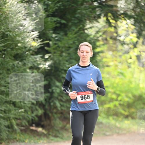 13.04.2025 - Hammer Lauf Dr. Thomas Lammeyer http://msf.ph/oto/7658615 13.04.2025 10:48:32 Laufen 15, 966 meine-sportfotos.de