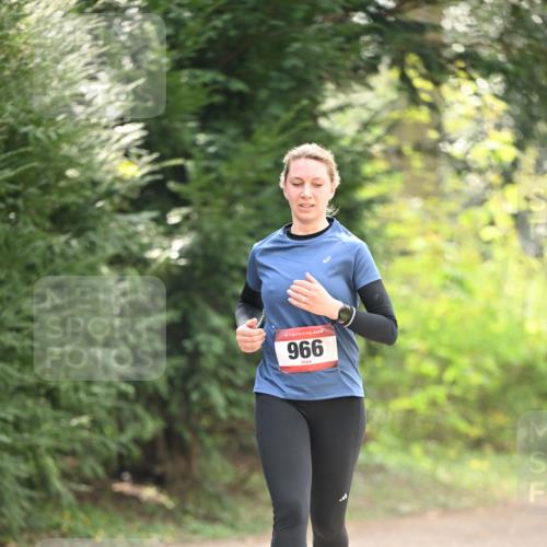 13.04.2025 - Hammer Lauf Dr. Thomas Lammeyer http://msf.ph/oto/7658616 13.04.2025 10:48:32 Laufen 15, 966 meine-sportfotos.de