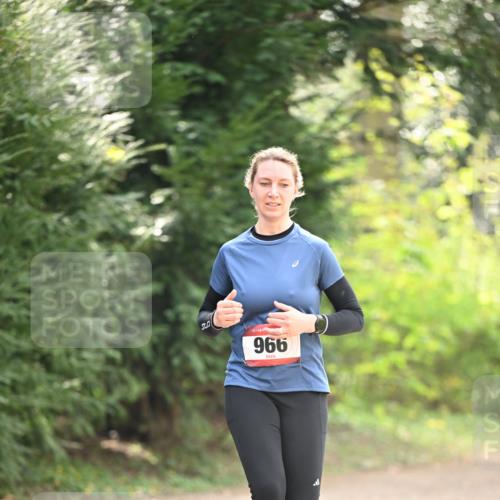13.04.2025 - Hammer Lauf Dr. Thomas Lammeyer http://msf.ph/oto/7658617 13.04.2025 10:48:32 Laufen 15, 966 meine-sportfotos.de