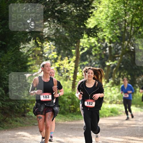 13.04.2025 - Hammer Lauf Dr. Thomas Lammeyer http://msf.ph/oto/7658634 13.04.2025 10:48:40 Laufen 183, 182 meine-sportfotos.de