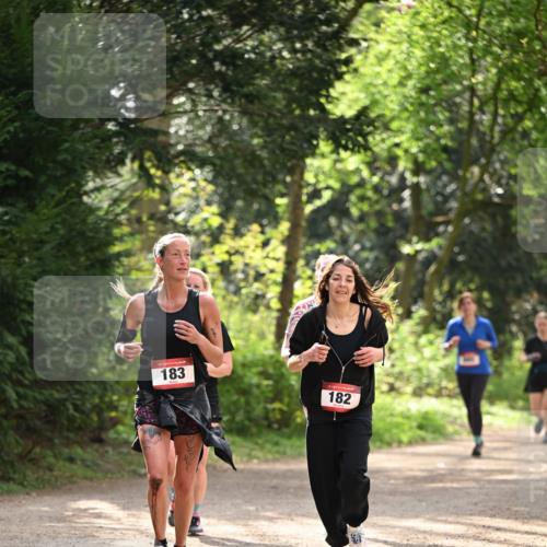 13.04.2025 - Hammer Lauf Dr. Thomas Lammeyer http://msf.ph/oto/7658635 13.04.2025 10:48:40 Laufen 183, 182 meine-sportfotos.de