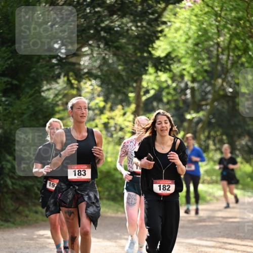 13.04.2025 - Hammer Lauf Dr. Thomas Lammeyer http://msf.ph/oto/7658643 13.04.2025 10:48:42 Laufen 193, 15, 183, 15, 182 meine-sportfotos.de