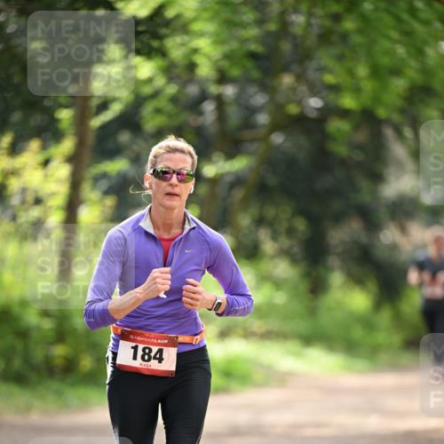 13.04.2025 - Hammer Lauf Dr. Thomas Lammeyer http://msf.ph/oto/7658817 13.04.2025 10:49:53 Laufen 15, 184 meine-sportfotos.de