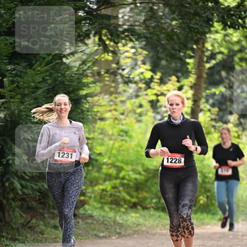 13.04.2025 - Hammer Lauf Dr. Thomas Lammeyer http://msf.ph/oto/7658909 13.04.2025 10:50:51 Laufen 1231, 1228, 978 meine-sportfotos.de