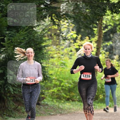 13.04.2025 - Hammer Lauf Dr. Thomas Lammeyer http://msf.ph/oto/7658910 13.04.2025 10:50:51 Laufen 231, 1228 meine-sportfotos.de