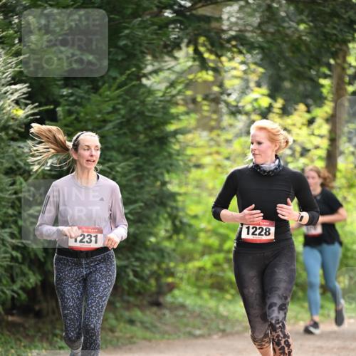 13.04.2025 - Hammer Lauf Dr. Thomas Lammeyer http://msf.ph/oto/7658916 13.04.2025 10:50:52 Laufen 231, 1228 meine-sportfotos.de