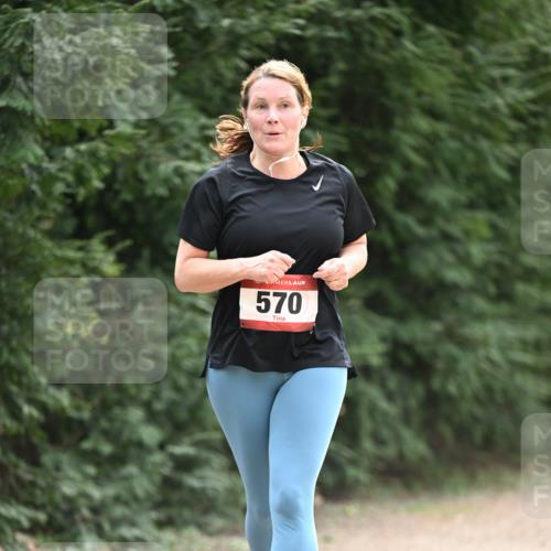 13.04.2025 - Hammer Lauf Dr. Thomas Lammeyer http://msf.ph/oto/7658937 13.04.2025 10:50:58 Laufen 570 meine-sportfotos.de