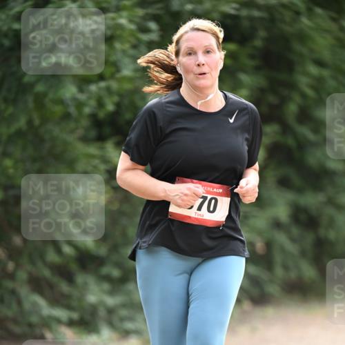 13.04.2025 - Hammer Lauf Dr. Thomas Lammeyer http://msf.ph/oto/7658943 13.04.2025 10:50:59 Laufen 70 meine-sportfotos.de
