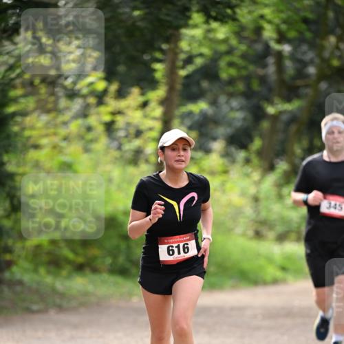 13.04.2025 - Hammer Lauf Dr. Thomas Lammeyer http://msf.ph/oto/7658970 13.04.2025 10:51:10 Laufen 15, 616, 345 meine-sportfotos.de