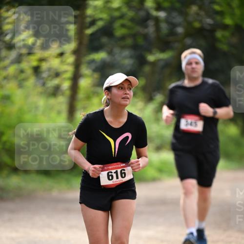 13.04.2025 - Hammer Lauf Dr. Thomas Lammeyer http://msf.ph/oto/7658985 13.04.2025 10:51:11 Laufen 15, 616, 345 meine-sportfotos.de