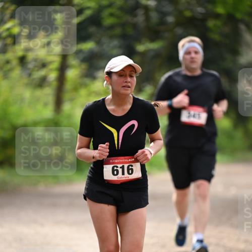 13.04.2025 - Hammer Lauf Dr. Thomas Lammeyer http://msf.ph/oto/7658992 13.04.2025 10:51:11 Laufen 15, 616, 345 meine-sportfotos.de