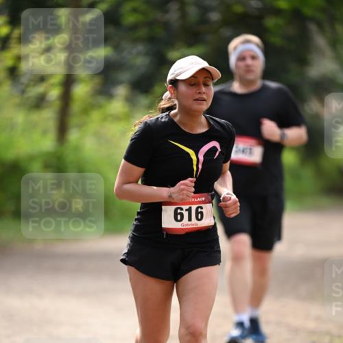13.04.2025 - Hammer Lauf Dr. Thomas Lammeyer http://msf.ph/oto/7658997 13.04.2025 10:51:11 Laufen 616 meine-sportfotos.de