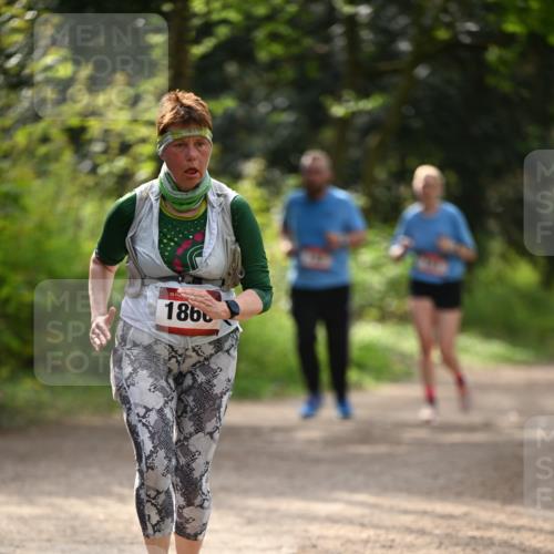 13.04.2025 - Hammer Lauf Dr. Thomas Lammeyer http://msf.ph/oto/7659034 13.04.2025 10:51:20 Laufen 15, 186 meine-sportfotos.de