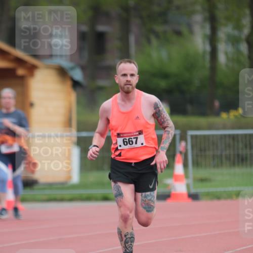 13.04.2025 - Hammer Lauf A. Gomolzig http://msf.ph/oto/7659322 13.04.2025 10:23:33 Ziel 667, 702, 1855, 1941 meine-sportfotos.de